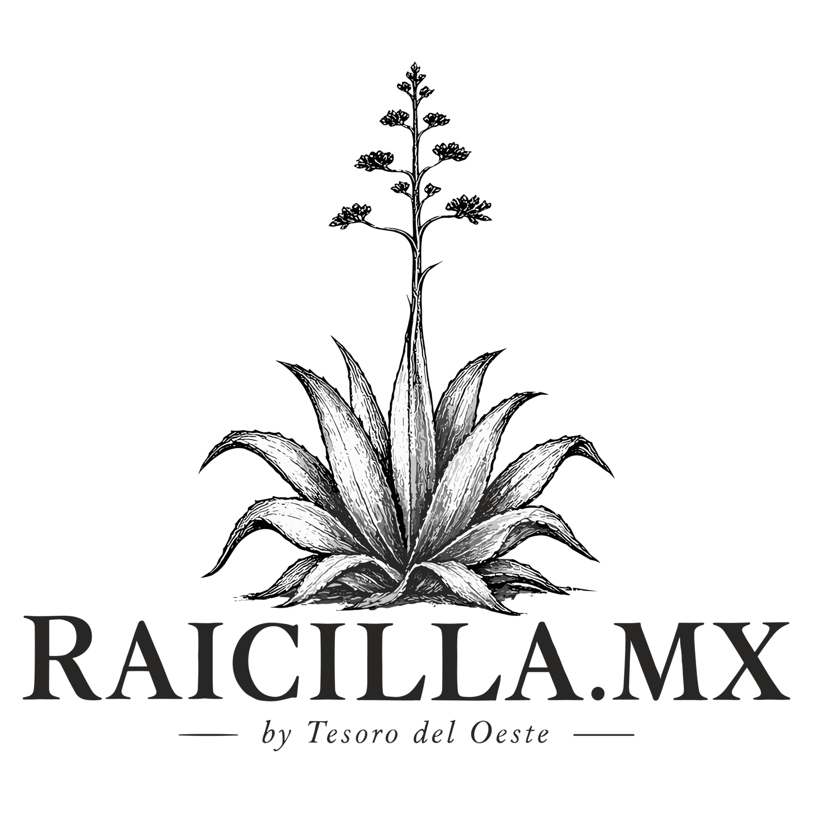 Raicilla.mx